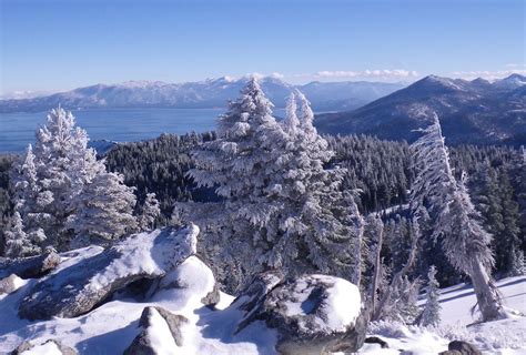 lake tahoe wunderground